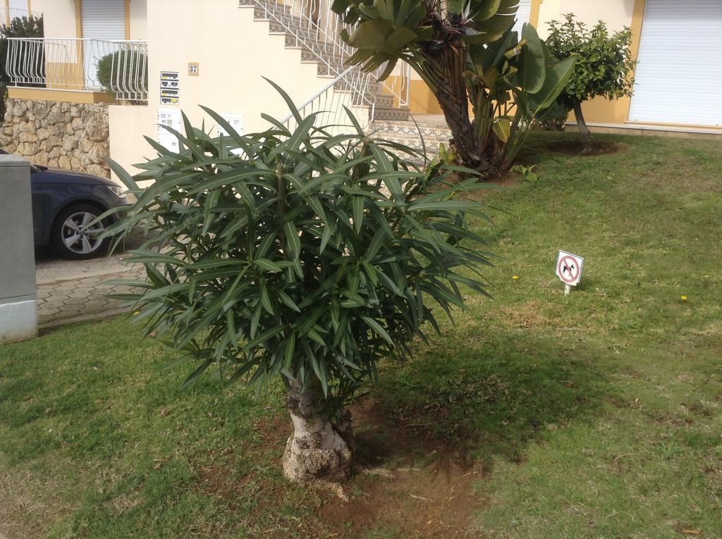 Votre Appartement A Portimao Ngoại thất bức ảnh
